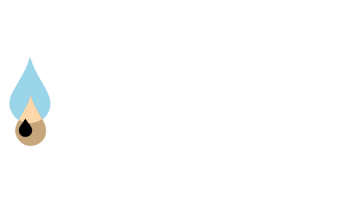 logo with company name